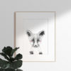 Fox_white background Jakkals woodlands animal
