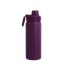 lizzard-flask-530ml-flask-Eggplant.jpg